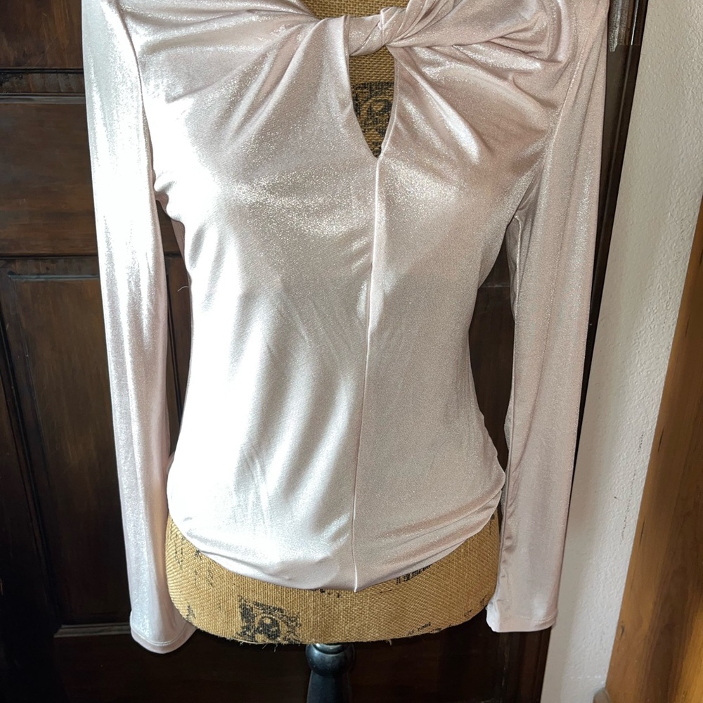 Astr Shimmering Light Pink Long Sleeve Blouse
